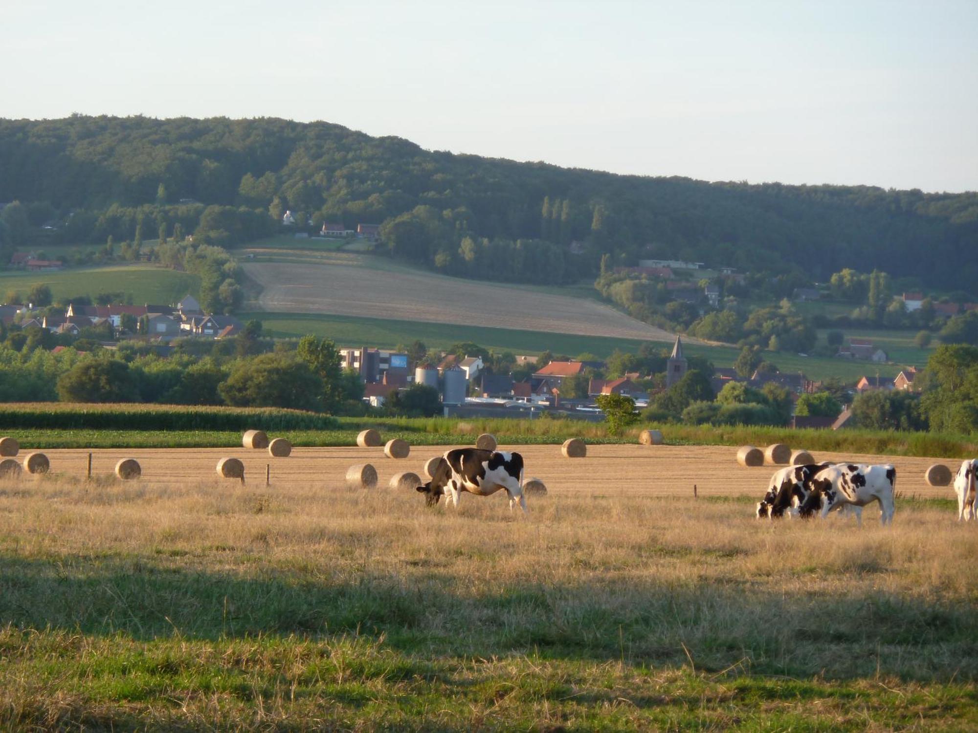 Entre Monts Et Collines B&B Et Spa En Option 외부 사진